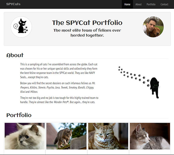 SPYCats webpage on Netlify